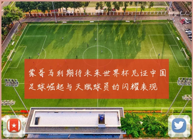蒙哥马利期待未来世界杯见证中国足球崛起与天赋球员的闪耀表现
