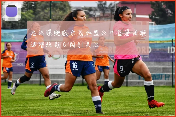 名记曝鲍威尔或加盟公牛签署高额递增短期合同引关注